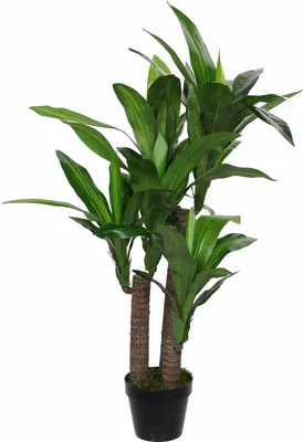 Obrázek produktu pro Mica Decorations Dracaena umělá rostlina - H110 x Ø60 cm - zelená