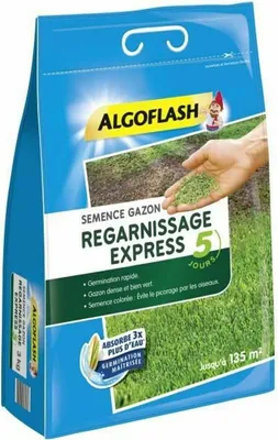 Produktbild von Saatgut Algoflash Express Gras 3 Kg