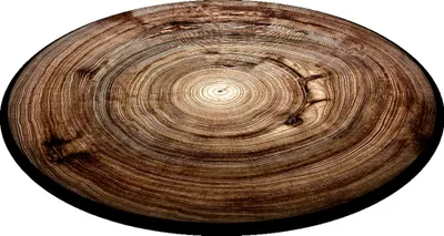 Zdjęcie produktu dla Bertoni poduszka na krzesło Codura UFO wzór Kempas