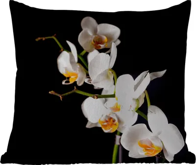 Produktbild von MuchoWow® Outdoor Kissen - Orchidee - Blumen - Pflanzen - Botanisch - 60x60 cm - Wetterfest - Lounge Kissen - Dekoration - Schlaf Kissen