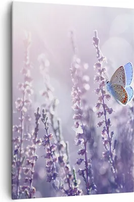 Produktbild von Bild auf Leinwand - Leinwandbild - Einteilig - Schmetterling Wiese Blume - 70x100cm - Wand Bild - Wanddeko - Wandbilder - Leinwanddruck - Wanddekoration - Leinwand bilder - Wandbild - PA70x100-4014