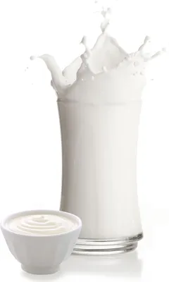 Produktbild von Joghurt Milchshake Pulver 10 kg