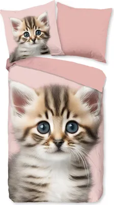 Produktbild von Duvet cover Good Morning 135x200 + 1* 80x80 cm - cat