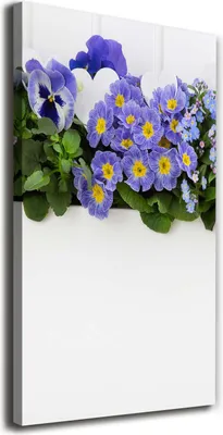 Produktbild von Tulup Leinwandbild® - 70x140cm - Wandkunst - Drucke auf Leinwand - Leinwanddruck - Wohnzimmer Wanddekoration XXL - Wohnung Deko Kunstdrucke - Blumen & Pflanzen - Lila - Violette Blumen