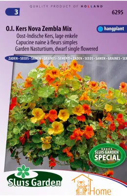 Immagine prodotto di Nasturzio Nova Zembla Miscela di semi – pezzo – pianta singola ricadente bassa – fiori colorati – fiori e foglie commestibili – ideale per cesti appesi e bordure