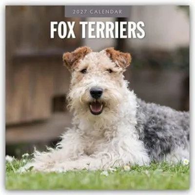 Zdjęcie produktu dla Fox Terrier - Kalendarz na rok 2027 (format 16-miesięczny)