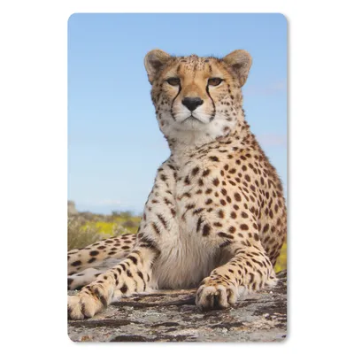Produktbild von MuchoWow® Mauspad Mousepad Leopard - Tiere - Natur 18x27 cm - Mousepads - Maus Mat - Pad - Mausunterlage