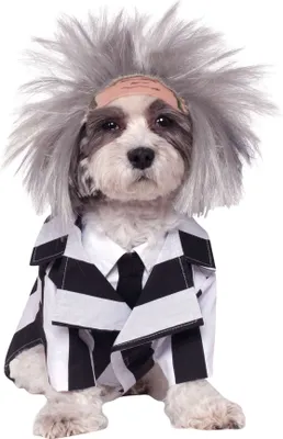 Produktbild von Beetlejuice Pet Costume - Size S