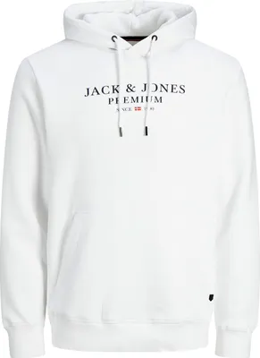 Produktbild von JACK & JONES Herren Kapuzensweatshirt JPRBLUARCHIE Sweat Hood