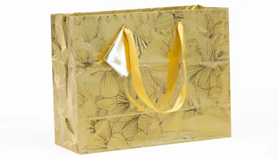 Produktbild von Clairefontaine Tasche Schatz 32x13x24,5