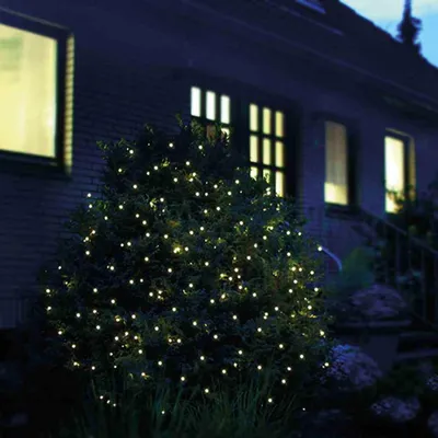 A bush decorated with warm white LED lights at night, in front of a house.