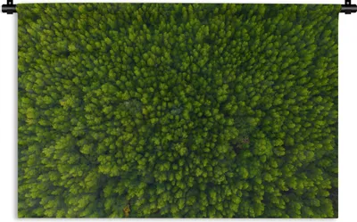 Produktbild von MuchoWow® Wandteppich Wandbehang Wald - Baum - Grün 90x60 cm Tapisserie Dekoration Wandtuch - Wandskulpturen - Bildteppich