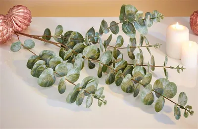 Produktbild von Deko-Zweig "Eukalyptus", 2er Set Ast mit Blättern, Kunst-Pflanze mit Glitzer