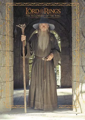 Produktbild von Herr der Ringe Poster Gandalf  68,5 x 98 cm