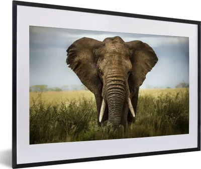 Produktbild von MuchoWow® MuchoWow® Gerahmtes Poster Elefant - Tiere - Gras 60x40 cm - Poster mit zchwarzem Bilderrahmen - Schlafzimmer - Plakat in Rahmen - Drucken