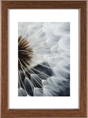 Produktbild von Kunststoffrahmen Breeze nuss 13x18cm, hama