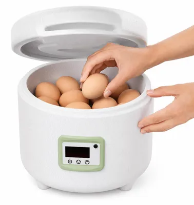 Produktbild von Eier Brutmaschine 9 Eier Inkubator mit automatischer Temperaturkontrolle, leiser Wasserbett Brüter für Hühner- und Enteneier, kompakt & einfach