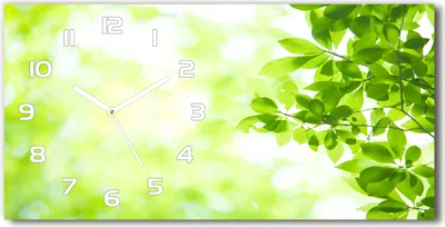 Produktbild von Wanduhr aus Glas – 60x30 cm - Glasbild - Glasuhr - Gehärtetes Glas - weisse-zeiger - Blätter