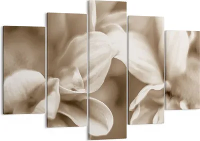 Produktbild von Bild auf Leinwand - Leinwandbild - 5 Teile - Blumen Boho ohne - 150x100cm - Wand Bild - Wanddeko - Wandbilder - Leinwanddruck - Bilder - Wanddekoration - Leinwand bilder - Wandbild - EA150x100-4767