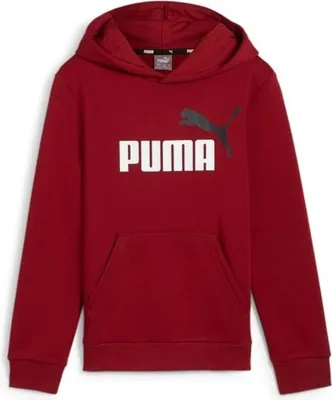 Productafbeelding van Hoodie Puma 586987-13 voor Kinderen