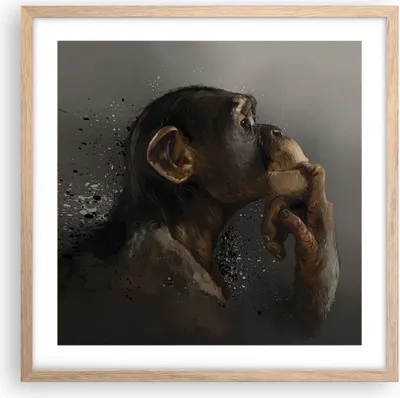 Produktbild von Gerahmtes Poster - Rahmen in heller Eiche - Schimpanse Porträt Grafik - 50x50 cm - Wand Bild - Wanddeko - Wandbilder - Kunstposter - Wandposter - Bilderrahmen - Bilder - Kunstdruck - P2NAC50x50-4676