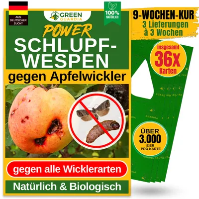 Produktbild von Green Guardia Schlupfwespen gegen Apfelwickler -12x Karten 3x Lieferung- Biologisches Mittel gegen Apfelwickler, Chemiefrei Apfelwickler bekämpfen