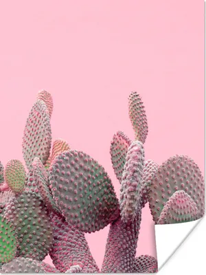 Produktbild von MuchoWow® Poster Kaktus - Pflanzen - Sommer 90x120 cm - Wohnzimmer