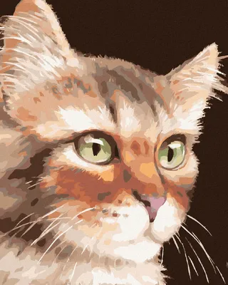 Immagine prodotto di Zuty - Dipingere con i numeri - GATTO (MYROSLAVA VOLOSCHUK), 40x50 cm, senza cornice e senza tela tesa