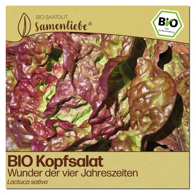 Produktbild von Samenliebe  Salat Samen | Wunder der vier Jahreszeiten - rot & groß - samenfestes  Saatgut