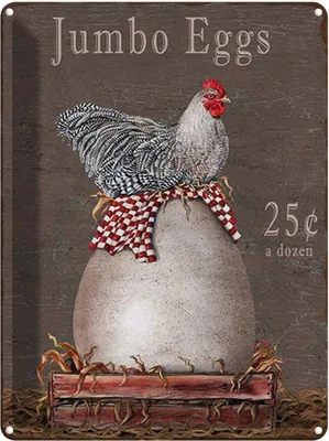 Produktbild von vianmo Blechschild 40x30 cm Huhn jumbo Eggs 25 c a dozen