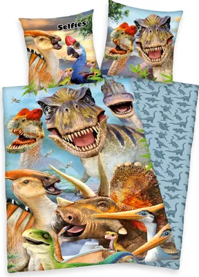 Produktbild von Selfies Dinosaurier Bettwäsche / Kinderbettwäsche, 100% Baumwolle ( Renforcé ), 80x80 + 135x200 cm