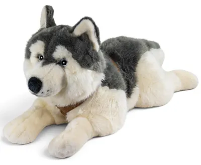 Productafbeelding van Carl Dick Husky, halsband, 60 cm, pluche speelgoed, knuffeldiertje, artikelnummer 3839
