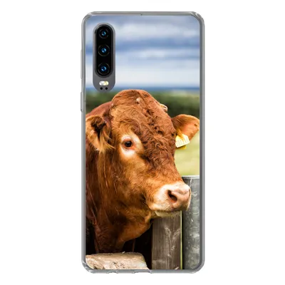 Produktbild von MuchoWow® Handyhülle Schutzhülle Hülle für Huawei P30 Schottischer Highlander - Berg - Zaun Silikon Softcase Handy Hülle - Kartenbesitzer