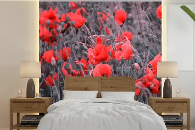 Produktbild von MuchoWow® Fototapete für Wohnzimmer oder Schlafzimmer Wandtapete Vinyl Motivtapete Rote Mohnblumen in einem Schwarz-Weiß-Bild - 300x300 cm - Wanddekoration