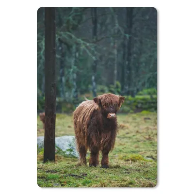 Produktbild von MuchoWow® Mauspad Mousepad Schottischer Hochländer - Wald - Moos 18x27 cm - Mousepads - Maus Mat - Pad - Mausunterlage