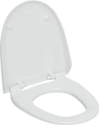 Produktbild von Geberit 250034CG1 WC-Sitz und WC-Deckel manhattan