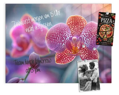 Produktbild von Magnettafel 120x90cm Pinnwand Whiteboard beschreibbar - Exotische Orchidee