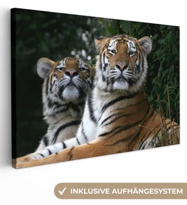 Obrázek produktu pro OneMillionCanvasses® - Plátno - Tygr - Les - Hlavy, nástěnná malba, nástěnné dekorace obrázky do obývacího pokoje, 30x20cm