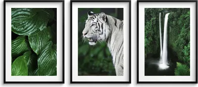 Produktbild von Poster fürs Schlafzimmer, Wandposter fürs Wohnzimmer Dschungel Natur 3x 30x40cm