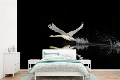 Produktbild von MuchoWow® Fototapete für Wohnzimmer oder Schlafzimmer Wandtapete Vinyl Motivtapete Schwan - Schwarz - Wasser - 360x240 cm - Vinyl-Tapete