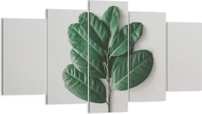 Produktbild von Bild auf Leinwand - Leinwandbild - 5 Teile - Blätter Pflanzen Botanik - 160x85cm - Wand Bild - Wanddeko - Wandbilder - Leinwanddruck - Bilder - Wanddekoration - Leinwand bilder - EA160x85-4956