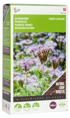 Produktbild von Gründünger Phacelia tanacetifolia (100 g) | Gründünger von Buzzy Seeds