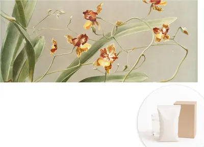 Produktbild von Selbstklebende Fototapete - Wandbilder für Wohnzimmer - 208x146 cm - Dekorative Wandfolie - Modernes Design für Wanddekoration - Tapeten für Innenräume - Klassische Orchideen