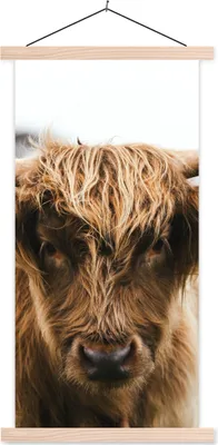 Produktbild von MuchoWow® Textilposter Schottisches Hochlandrind - Kuh - Gras - Tiere - Natur 40x80 cm mit holzfarbenen Rahmen - Wohnzimmer