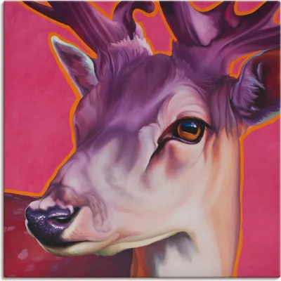 Produktbild von ARTland Leinwandbild Felix pink Größe: 50x50 cm