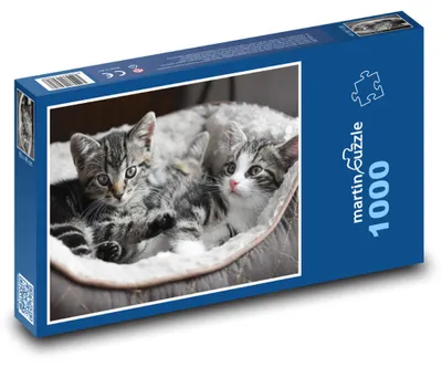 Obrázok produktu pre Puzzle 1000 Roztomilé mačiatka v peliešku - martinpuzzle