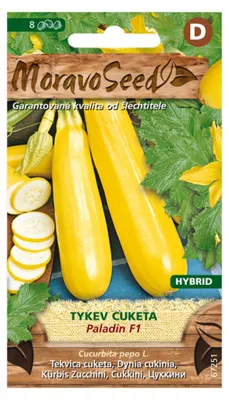 Obrázek produktu pro Tykev cuketa PALADIN F1 - hybrid, žlutá 67251