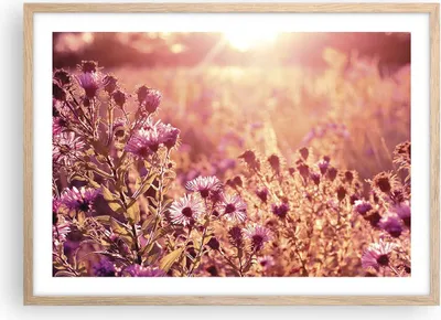 Produktbild von Gerahmtes Poster - Rahmen in heller Eiche - Wiese Blumen Sonne - 70x50 cm - Wand Bild - Wanddeko - Wandbilder - Kunstposter - Wandposter - Bilderrahmen - Bilder - Kunstdruck - P2NAA70x50-4819