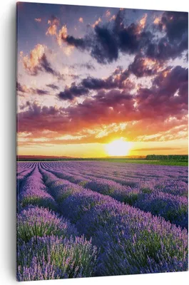 Produktbild von Bild auf Leinwand - Leinwandbild - Einteilig - Lavendel Berge Feld - 70x100cm - Wand Bild - Wanddeko - Wandbilder - Leinwanddruck - Wanddekoration - Leinwand bilder - Wandbild - PA70x100-3816