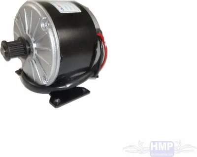 Produktbild von Elektro Motor mit Halter 36V 250W MY1015 2750 RPM Riemenritzel 5M RC
